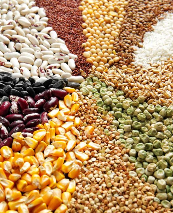 Grains and Cereals